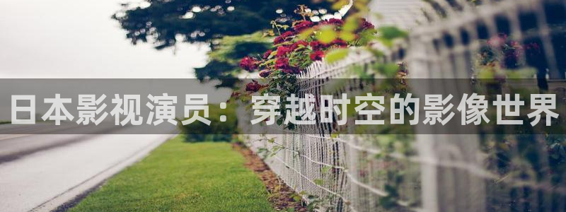 yy4480青苹果乐园免费播放电视剧出