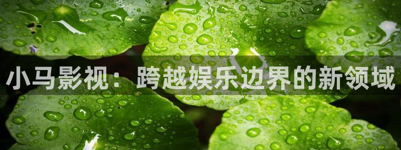 青苹果电影完整在线观看
