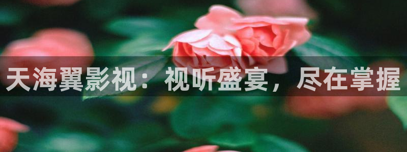 yy48000青苹果青苹果影院什么时候播出