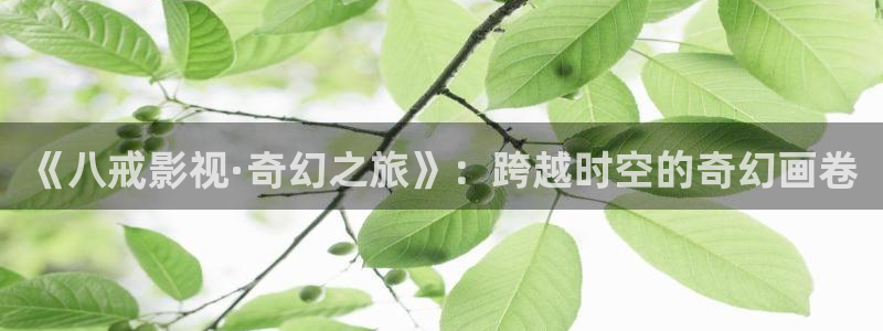 青苹果影院yy4138