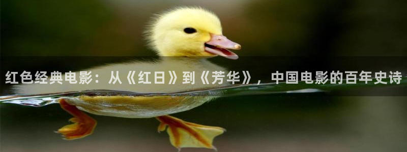 yy4840青苹果影院