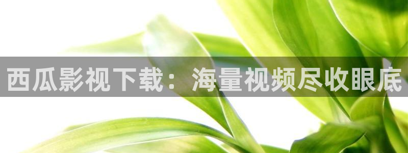 yy4480青苹果影院免费：西瓜影视下载：海量视频尽收眼底