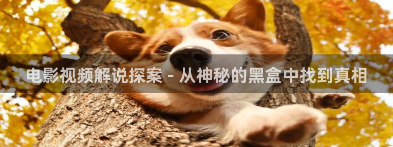 青苹果影院入口：电影视频解说探案 - 从神秘的黑盒中找到真相