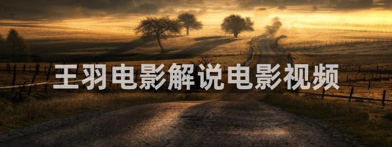 yy6青苹果影院：王羽电影解说电影视频
