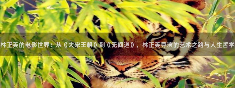 4080青苹果新视觉影院：林正英的电影世界：从《大宋王朝》到《无间道》，林正英导演的艺术之路与人生哲学