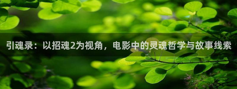 青苹果乐园在线高清免费播放电视剧：引魂录：以招魂2为视角，电影中的灵魂哲学与故事线索
