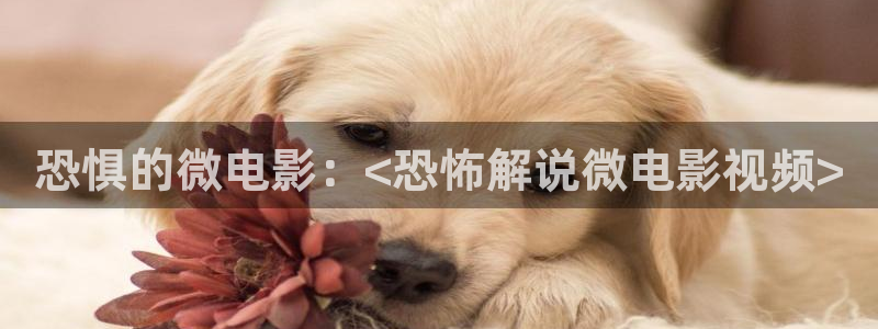 青苹果乐园免费观看电影高清资源：恐惧的微电影：<恐怖解说微电影视频>