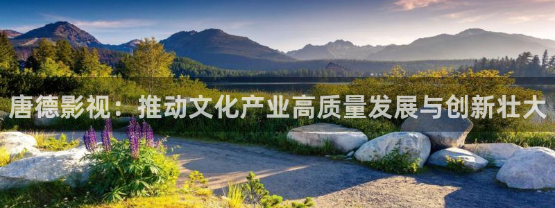 4480青苹果影院免费：唐德影视：推动文化产业高质量发展与创新壮大