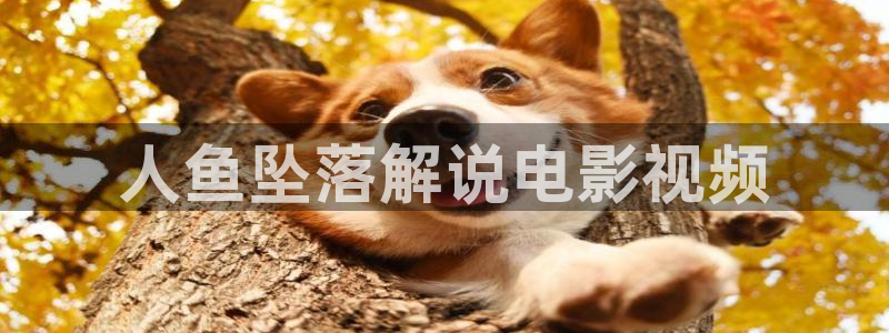 4480青苹果乐园电视剧免费观看你的：人鱼坠落解说电影视频