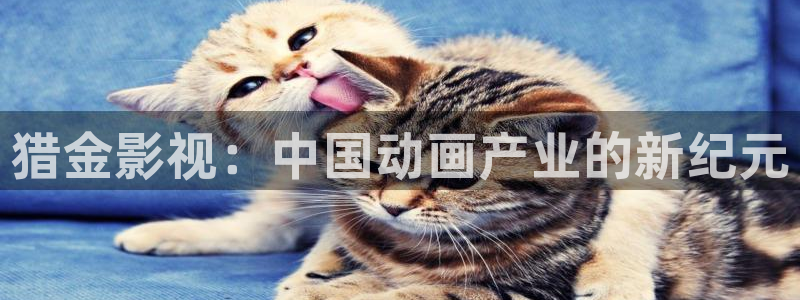 青苹果乐园yy4480免费