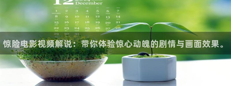 4080新视觉影院青苹果：惊险电影视频解说：带你体验惊心动魄的剧情与画面效果。