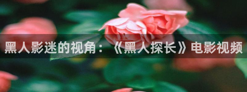 青苹果影院免费观看电视剧吗：黑人影迷的视角：《黑人探长》电影视频