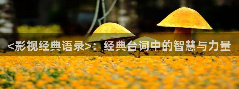 青苹果影视.：<影视经典语录>：经典台词中的智慧与力量