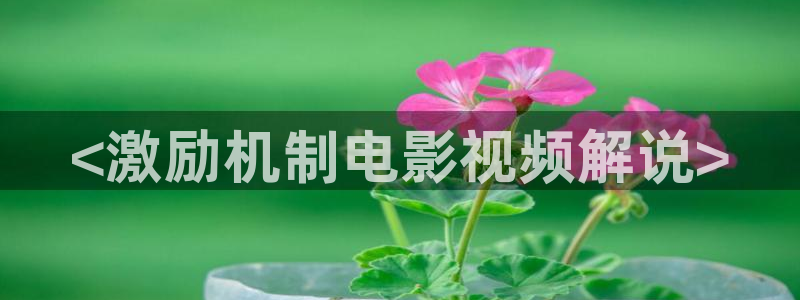 青苹果乐园电视剧高清在线观看a44yy