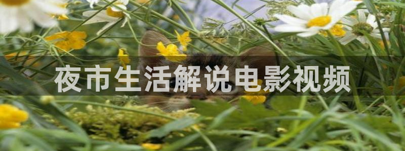 电影青苹果免费看
