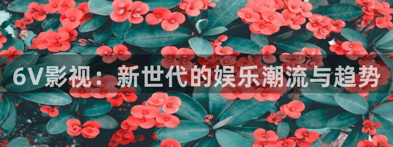 青苹果影院4080y