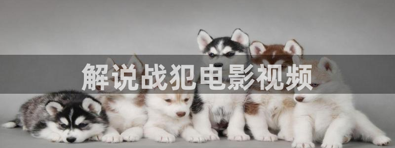 电影在线观看 青苹果影院
