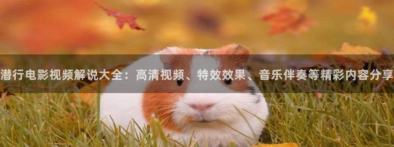 6090青苹果乐园免费观看电视剧