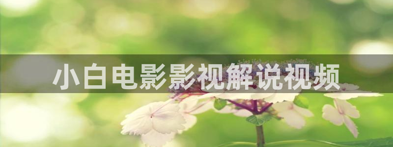 青苹果影视影院网站
