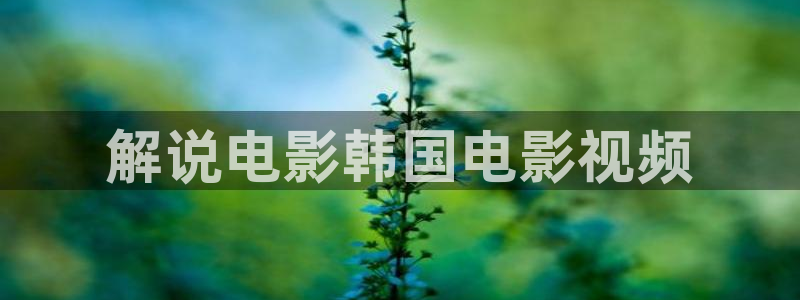 青苹果乐园yy4480