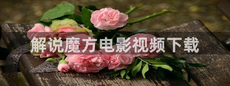 青苹果网站电视剧