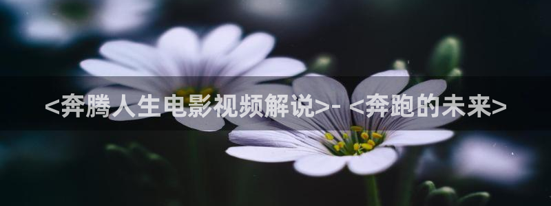 青苹果影视乐园电视剧