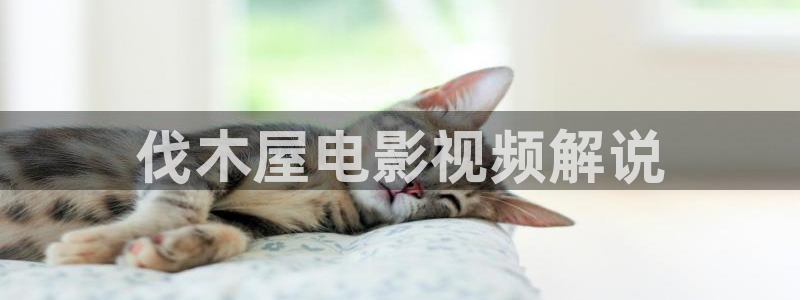 vv4480青苹果电影院