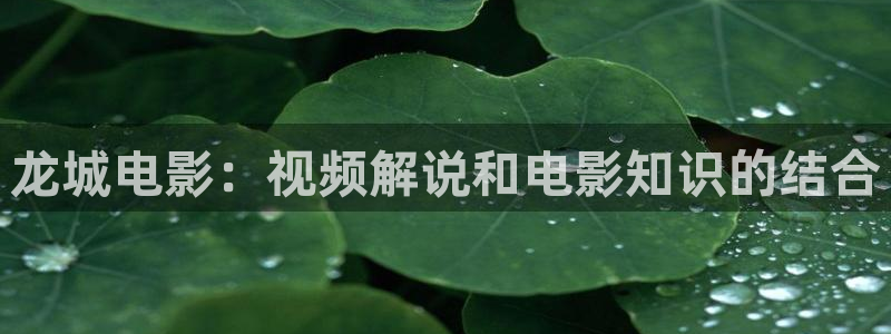 4080青苹果私人影院