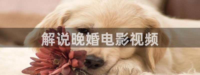 青苹果影院在线免费看