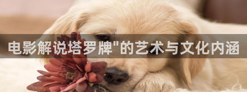 4480青苹果电影网
