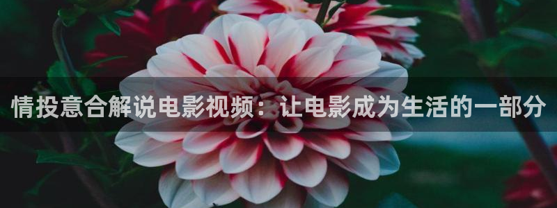 yy48000青苹果影院
