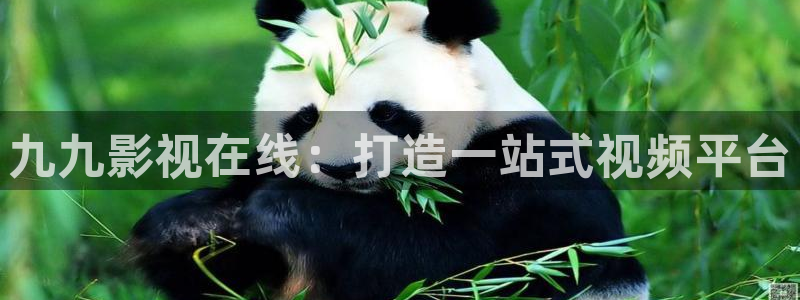 yy6090青苹果影院：九九影视在线：打造一站式视频平台