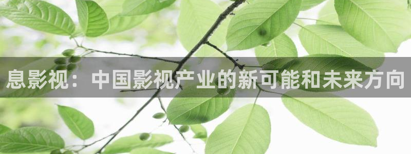 青苹果影院6090电视剧：息影视：中国影视产业的新可能和未来方向