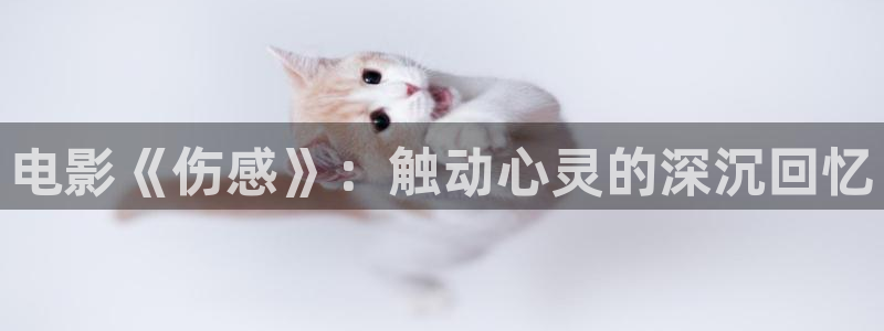 4410青苹果电影电视剧：电影《伤感》：触动心灵的深沉回忆