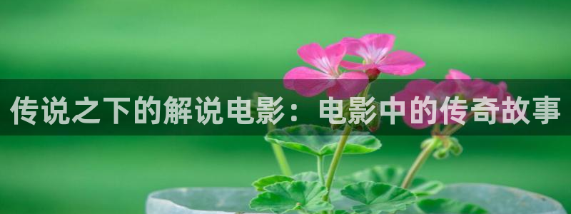 4488青苹果院影电影：传说之下的解说电影：电影中的传奇故事