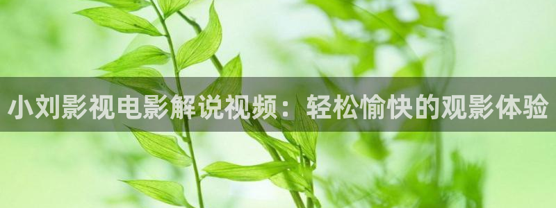 青苹果乐园高清播放免费：小刘影视电影解说视频：轻松愉快的观影体验