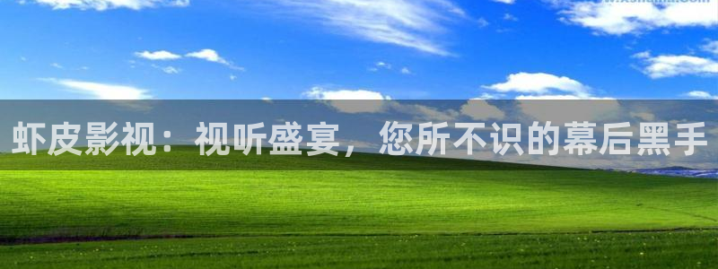 青苹果6090电视剧免费观看：虾皮影视：视听盛宴，您所不识的幕后黑手