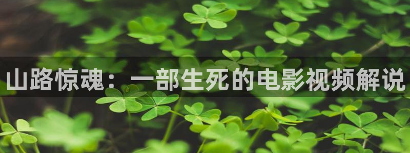 青苹果乐园在线观看免费高清电视剧40：山路惊魂：一部生死的电影视频解说